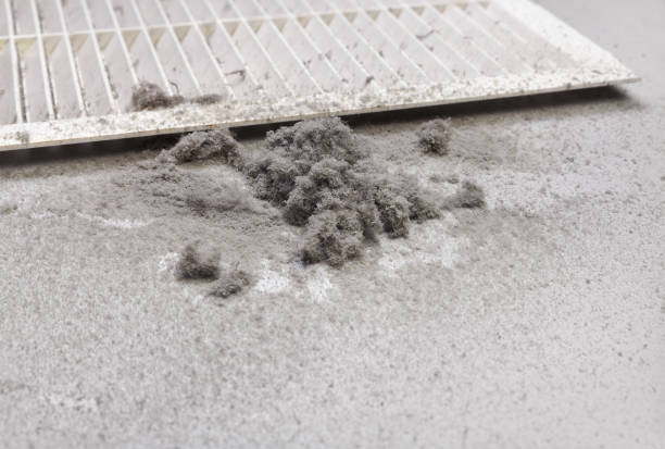 Best Air Duct Cleaning Near Me  in Wiggins, MS