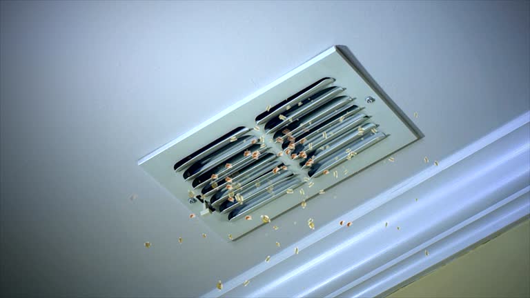 Home Air Vent Cleaning in Wiggins, MS