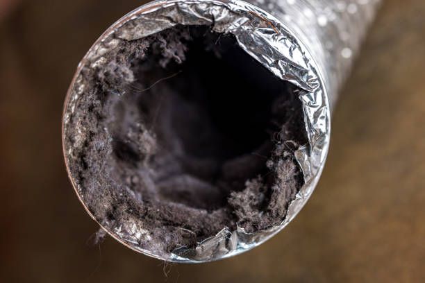 Best Home Air Vent Cleaning  in Wiggins, MS
