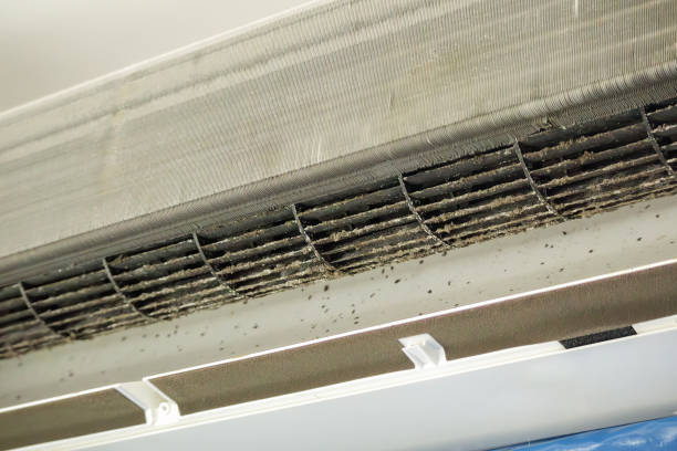 Best HVAC Air Duct Cleaning  in Wiggins, MS