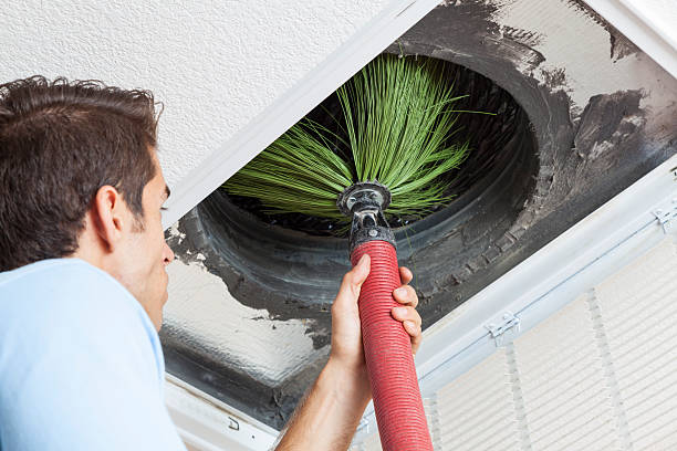 Best Professional Duct Cleaning Services  in Wiggins, MS